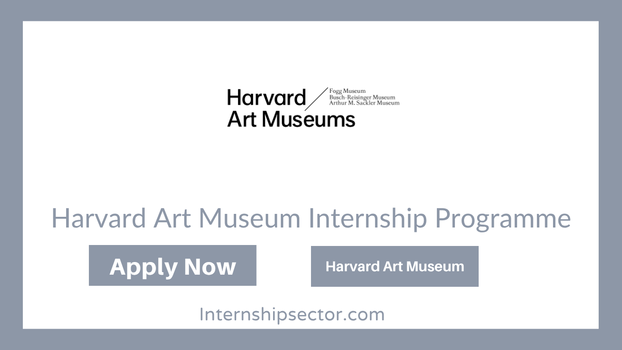 Harvard Art Museum Internship Programme